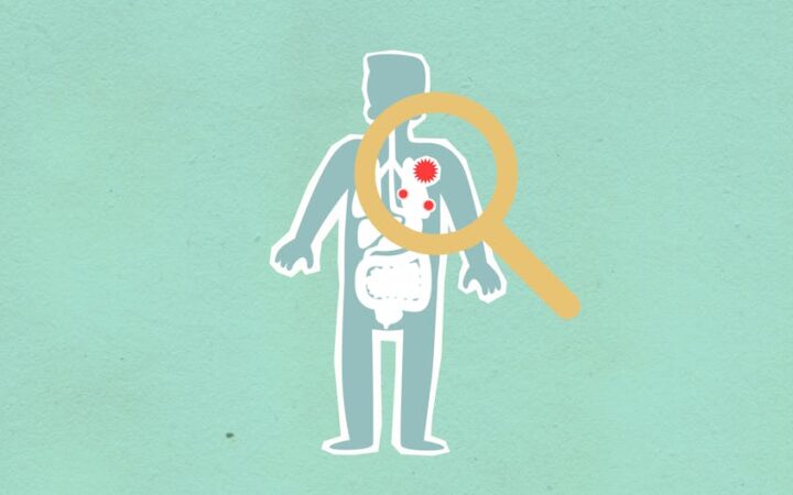 Why Gut Health Matters More Than You Think in 2026