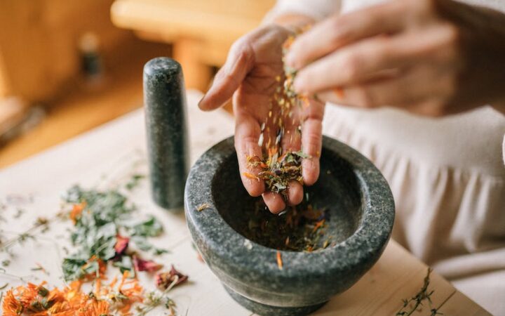 15 Best Herbs for Natural Healing in 2026