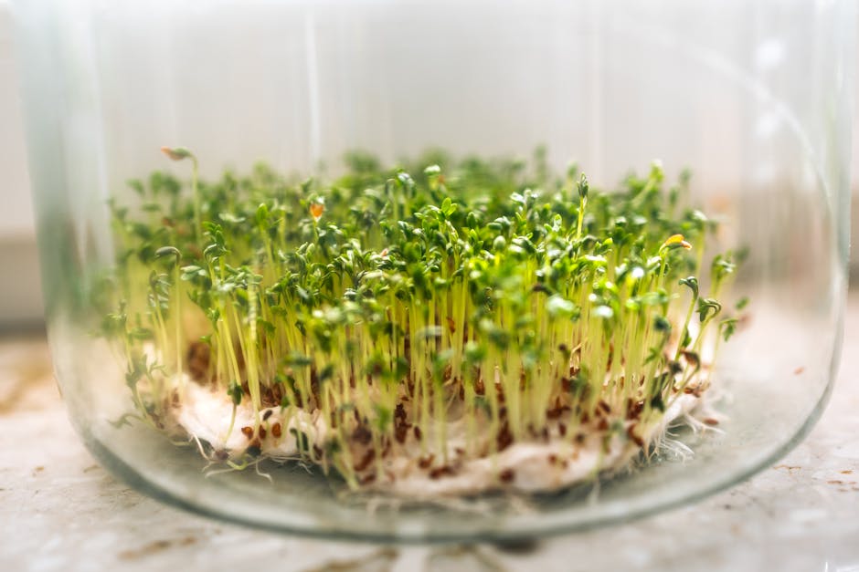 The Rise of Microgreens: Why Tiny Greens Are the Nutritional Powerhouses of 2026