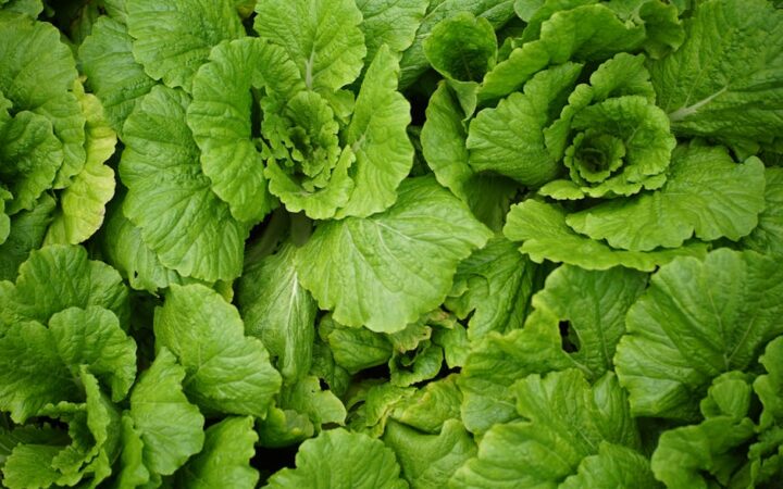 How to Spot Nutritional Deficiencies at Home