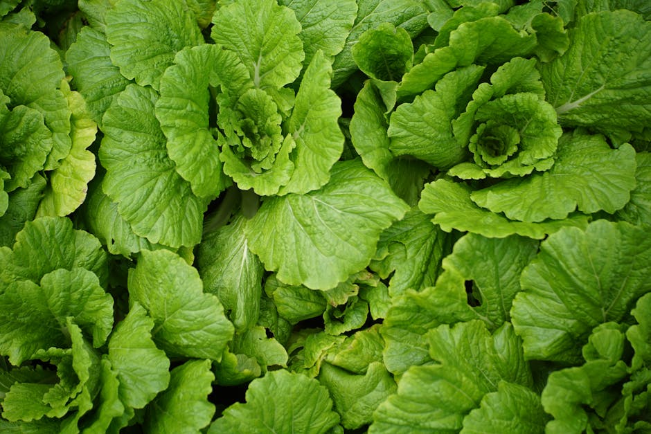 How to Spot Nutritional Deficiencies at Home